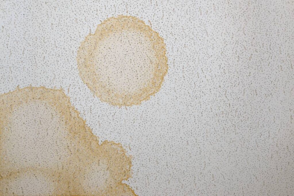 Commercial Roof Leaking What Can I Do