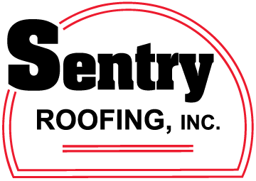 Sentry Logo Transparent