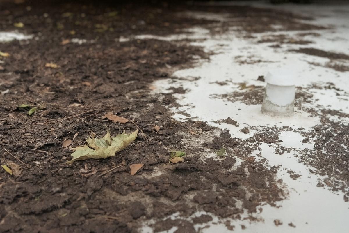 Check Drainage For Pooling And Debris Buildup