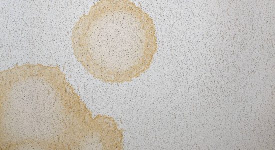 Commercial Roof Leaking What Can I Do