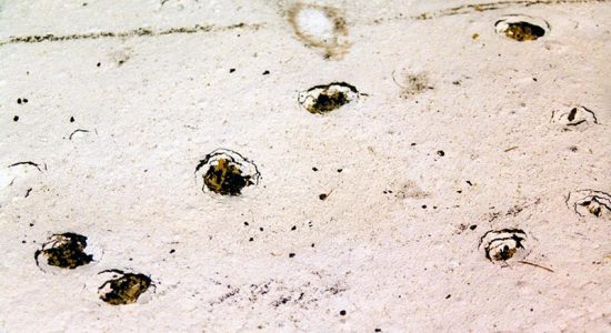 Hail Damage Roof Repair Commercial Buildings
